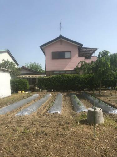 Hostal Minshuku Tomato House
