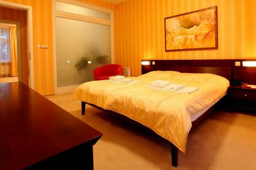 Hotel Sandor Pavillon