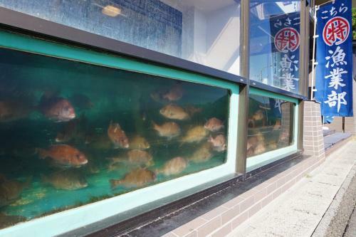 Marutoku Seafood Restaurant And Hotel