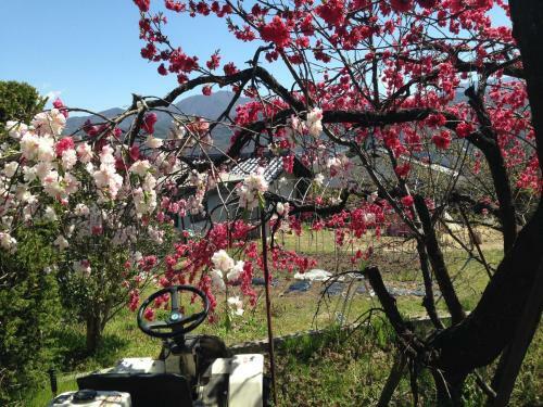 Shinshu Yokoya Farm