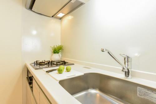 Apartamentos Residence Plus Sapporo 1ag