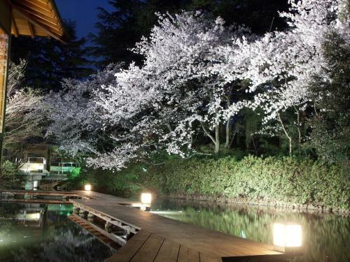 Hotel Matsusaki
