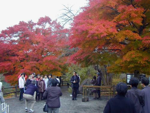 Hostal Pension Hana Kirin