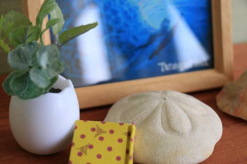 Tanegashima Minshuku Yuyu