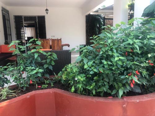 Bed & Breakfast Tiana Court Milimani