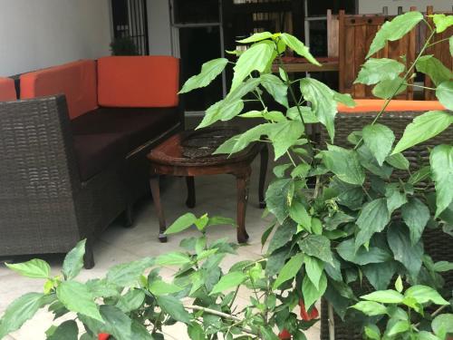 Bed & Breakfast Tiana Court Milimani