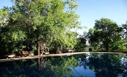 Ikweta Safari Camp