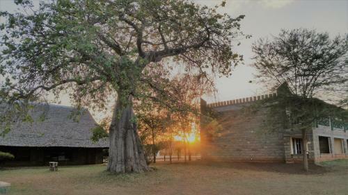 Voi Wildlife Lodge