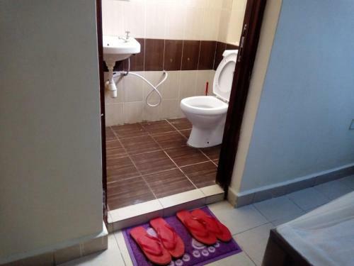 Wawa Luxury Apartments M