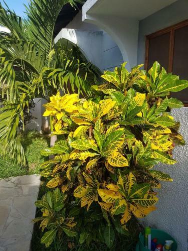 Apartamento Casa Da Luna Watamu Kenya