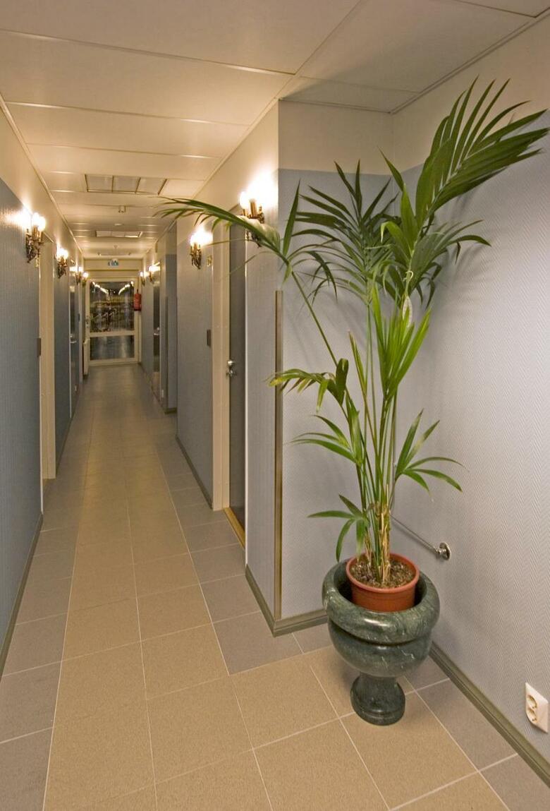 Mango Hotel