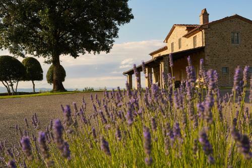 Battifolle-ruscello-poggiola Villa Sleeps 8 Pool