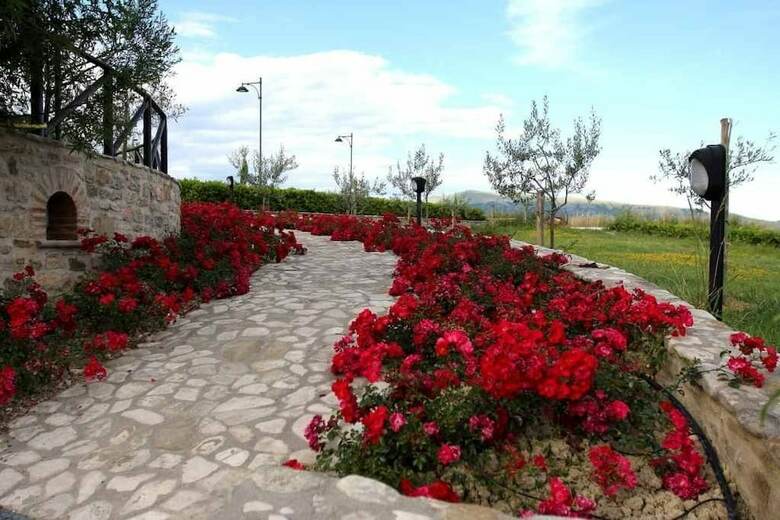Agroturismo Agriturismo Colle Mura