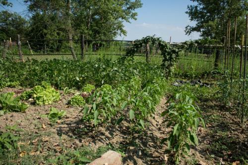 Agroturismo Il Fojot