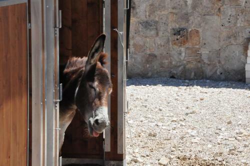 Agroturismo Masseria Le Terrazze Di Serranova