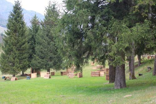 Apartamento La Casa Della Coccinella