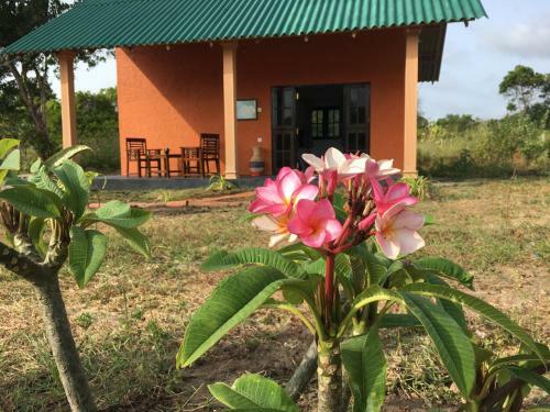 Bed & Breakfast Araliyainn Wilpaththu