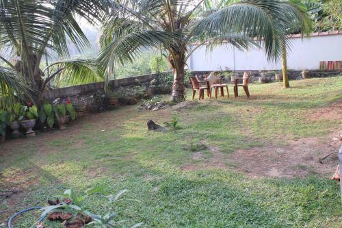 Villa Birds Paradise Hikkaduwa