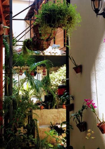 Bed & Breakfast Le Jardin Du Fort - Galle