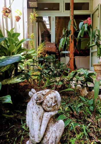 Bed & Breakfast Le Jardin Du Fort - Galle