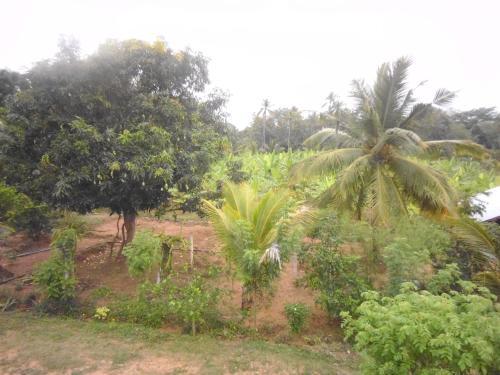 Agroturismo Wdn Guest & Tours