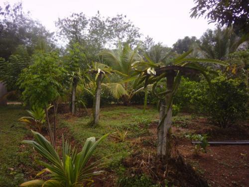 Agroturismo Wdn Guest & Tours
