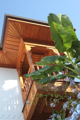 Hotel Azmakhan