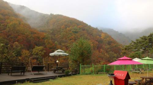 Bandy Star Pension