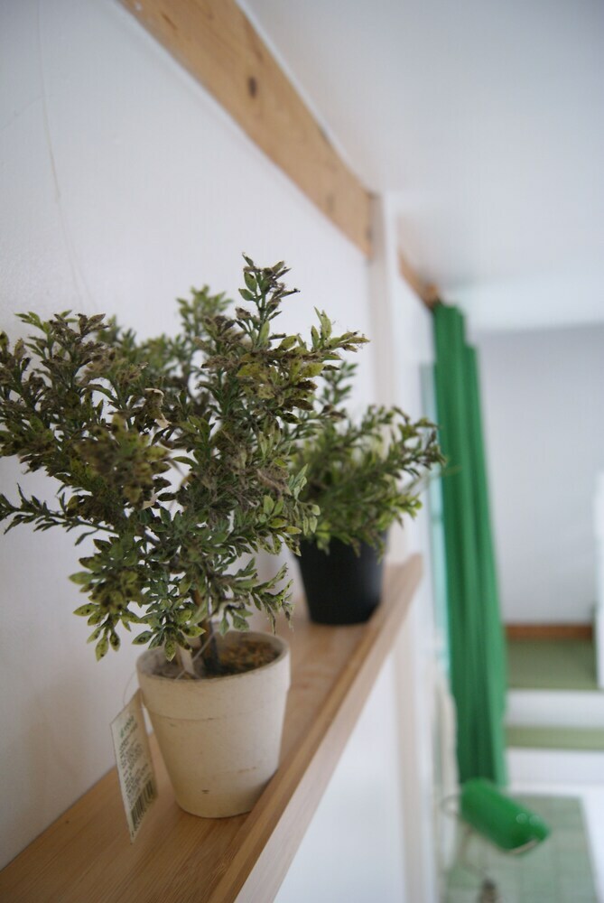 Hotel Namubyeol Pension
