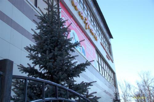 Arkalyk Hotel