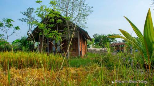 Hotel Habarana Farm Cottage