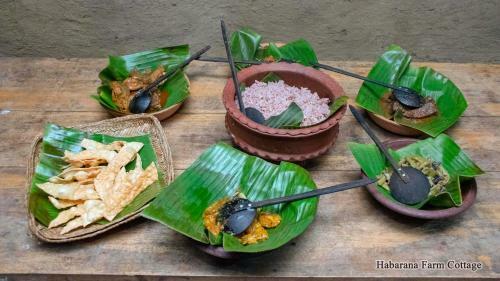 Hotel Habarana Farm Cottage
