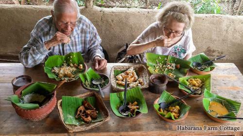 Hotel Habarana Farm Cottage