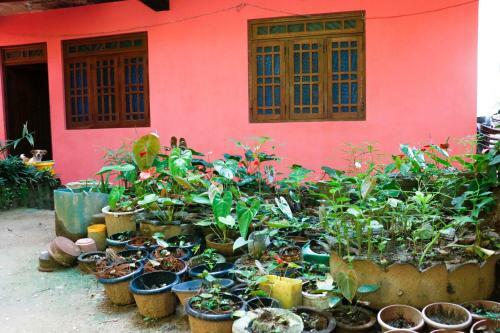 Apartamento Bogoda Bridge Rest Inn