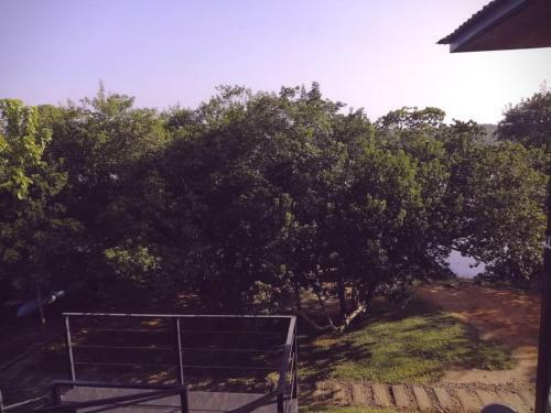 Hotel Wilpattu Nature Resort