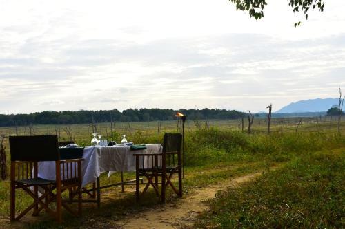 Explorer By Mahoora - Gal Oya National Park (All Inclusive)