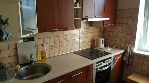 Apartment On Staneviciaus Street