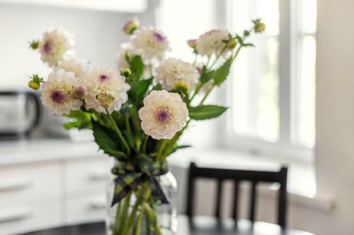 Authentic Vokieciu Old Town Apartment