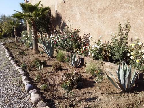 Agroturismo Tigmmi Bahamou