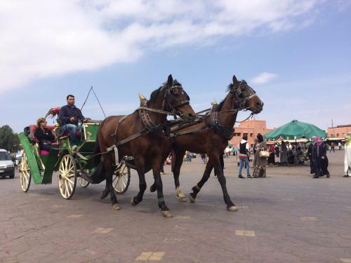 Agroturismo Tigmmi Bahamou