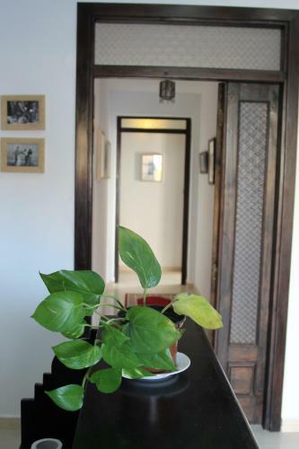 Hostal Casa Familia