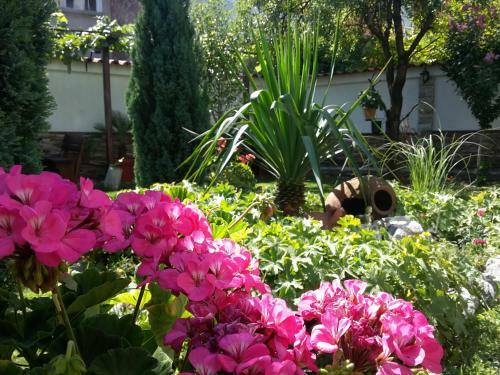 Hostal Keremidchieva Kushta Guest House