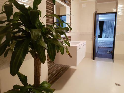 Family Hotel Santana