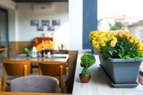 Spa Hotel Sveti Nikola