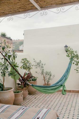 Bed & Breakfast Dar Saray