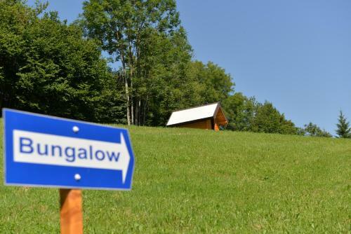 Camp Rabrenovi?