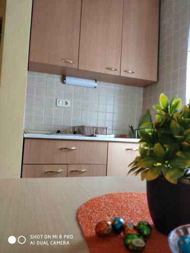 Apartments Brnjada Sutomore