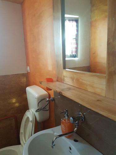 Belette Apartments
