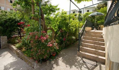 Hostal Apartments & Rooms M