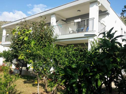 Apartamento Guest House Djonovic